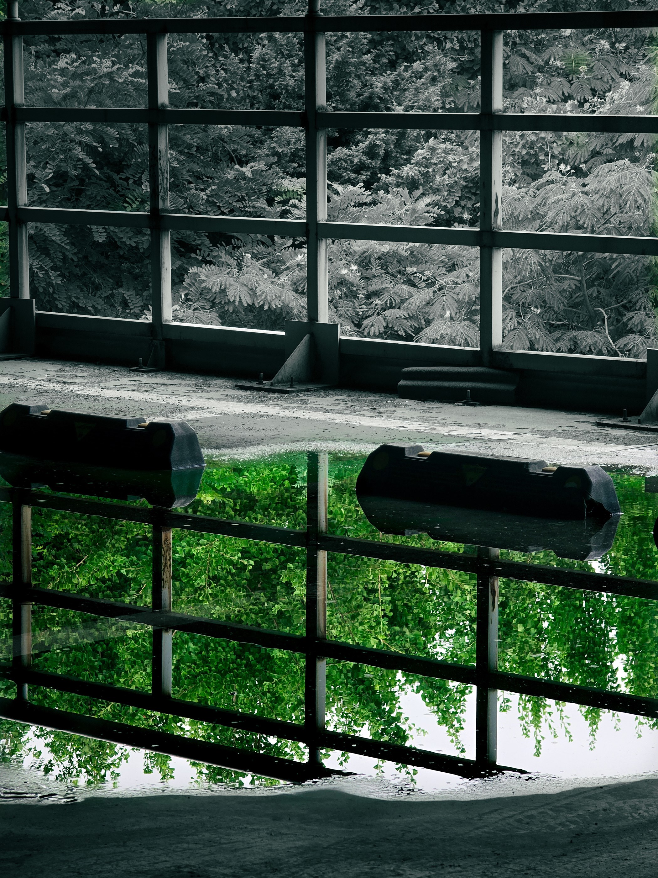 2024 콘크리트문화사진전 / 학생부 최우수상 / 단국대학교 임동규 / 작품명: 세상에서 가장 차갑고, 따듯한 거울