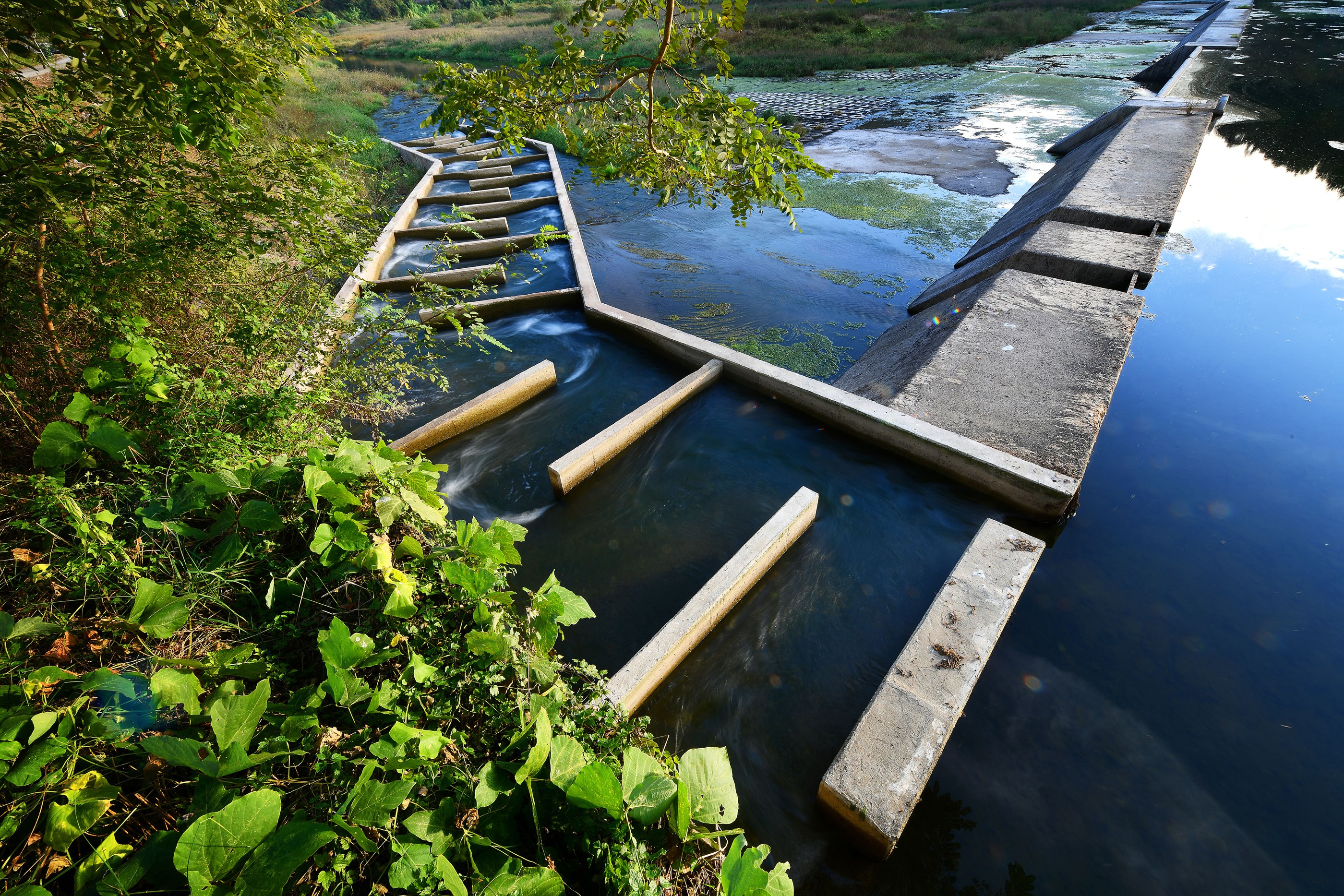 2024 콘크리트문화사진전 / 일반부 우수상 /  박종권 / 작품명: 어도