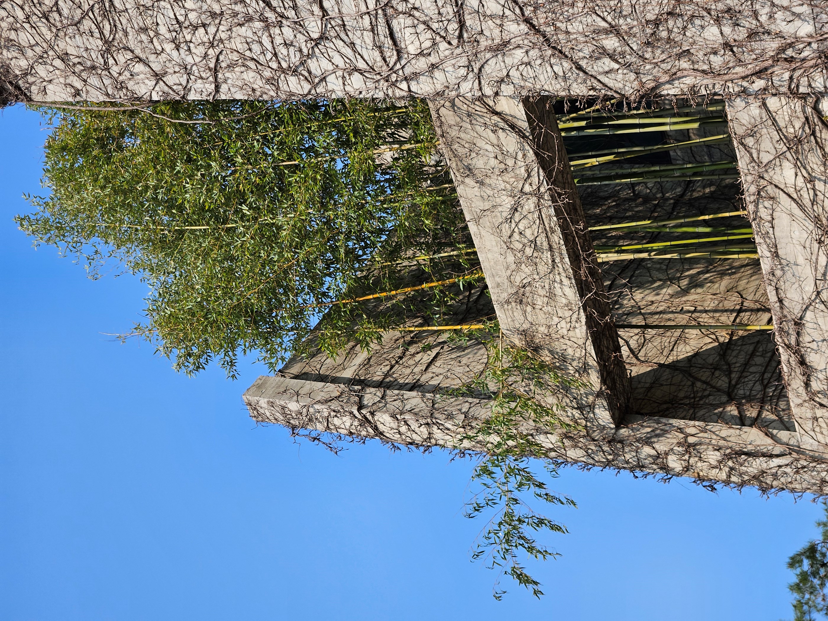 2025 콘크리트문화사진전 / 학생부 우수상 / 원광대학교 이은혜 / 작품명: 콘크리트와 자연의 공존